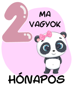 2 hónapos lettem baba mérföldkő minta rózsaszín panda